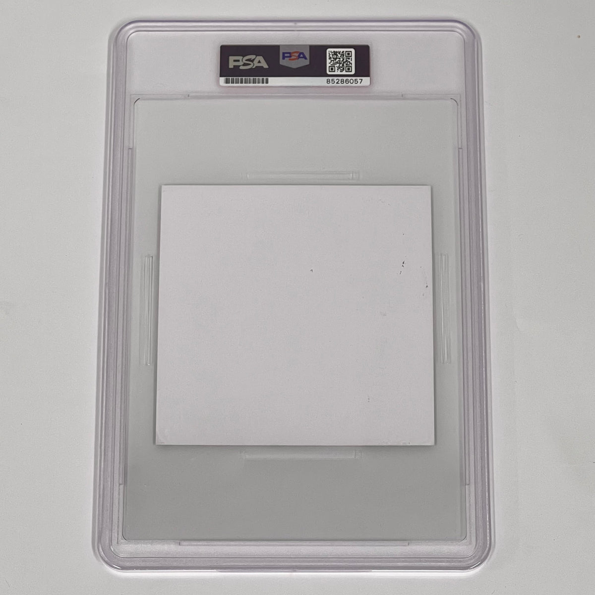 Photo_Jul_16_2024_1_46_40_PM_1