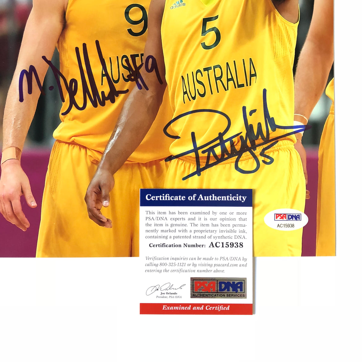 Matthew Dellavedova Patty Mills signed 11x14 photo PSA/DNA Australia A –  Golden State Memorabilia