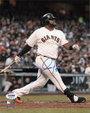 Pablo Sandoval signed 8x10 photo PSA/DNA San Francisco Giants Autographed