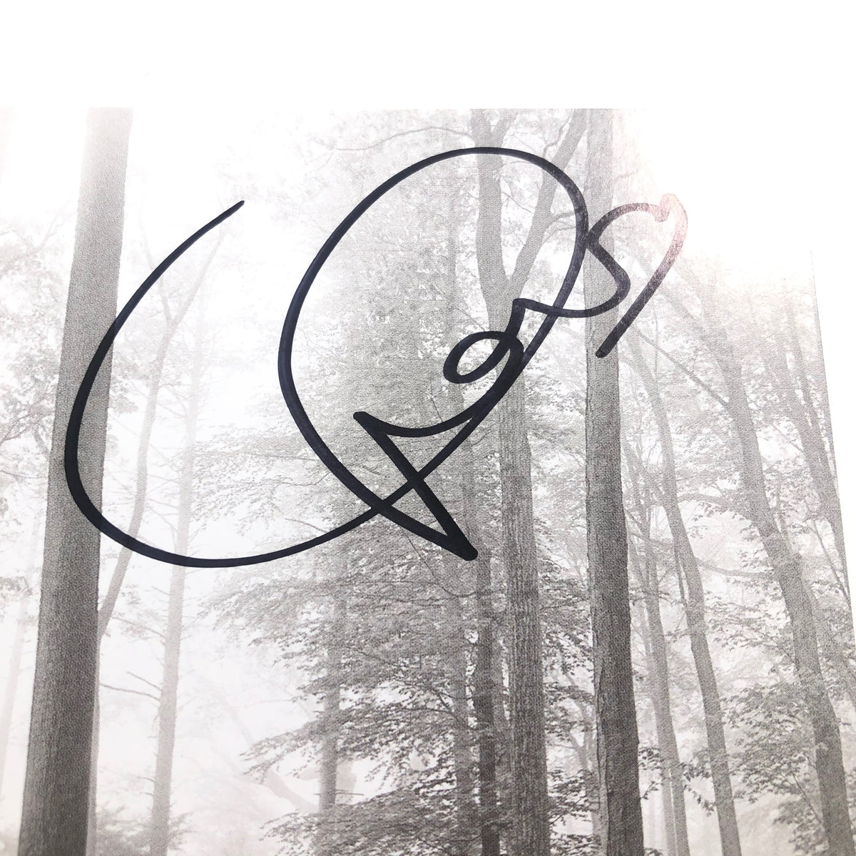 Taylor Swift Signed CD Cover PSA/DNA Folklore Autographed – Golden