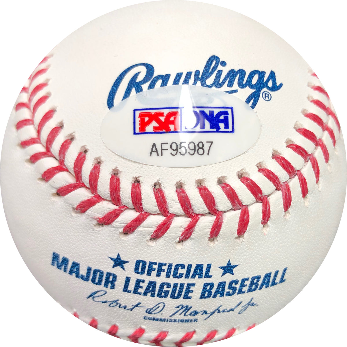Jose Fernandez signed baseball PSA/DNA Miami Marlins autographed – Golden  State Memorabilia