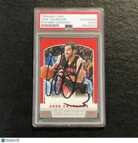 2012-13 Panini #87 Jose Calderon Signed Card AUTO PSA Slabbed Raptors