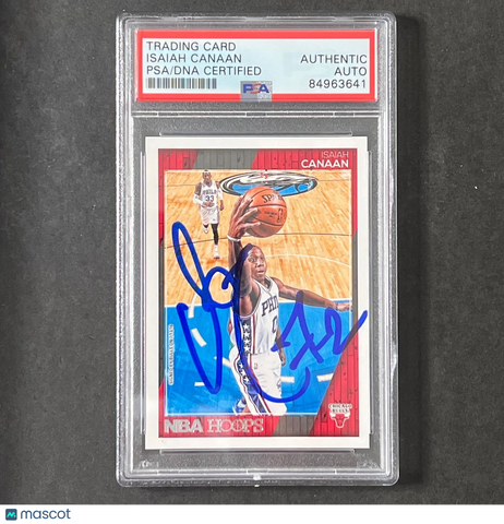 2016-17 NBA Hoops #163 Isaiah Canaan Signed Card AUTO PSA Slabbed Bulls