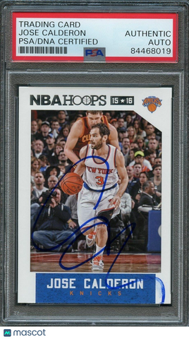 2015-16 NBA Hoops #243 Jose Calderon Signed Card AUTO PSA Slabbed Knicks