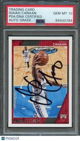 2016-17 NBA Hoops #163 Isaiah Canaan Signed Card AUTO 10 PSA Slabbed Bulls