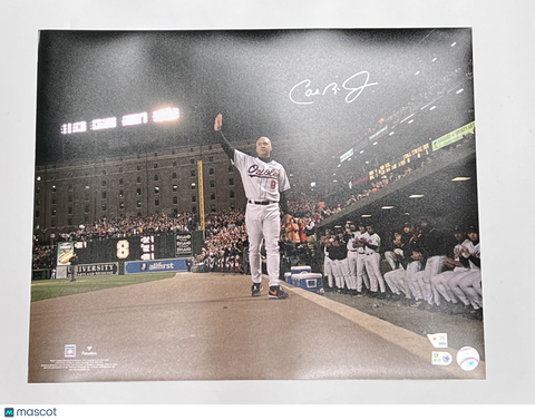 Cal Ripken Jr. Signed 16x20 Photo Fanatics Authentic Baltimore Orioles