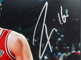 Pau Gasol and Marc Gasol Signed 11x14 Photo JSA