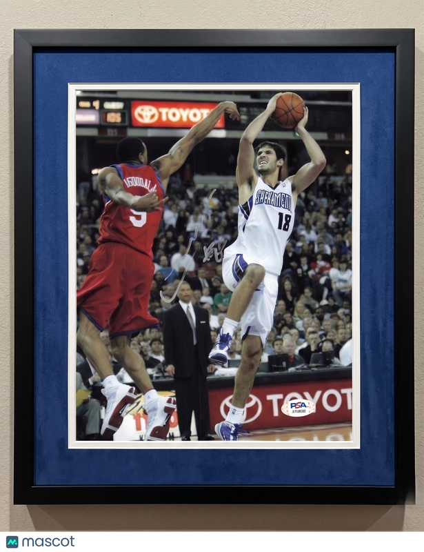 Omri Casspi Sacramento Kings Signed Basketball 8x10 Custom Framed Photo PSA