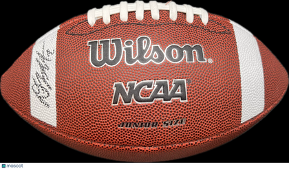 D.J. Moore Signed Football PSA Autographed