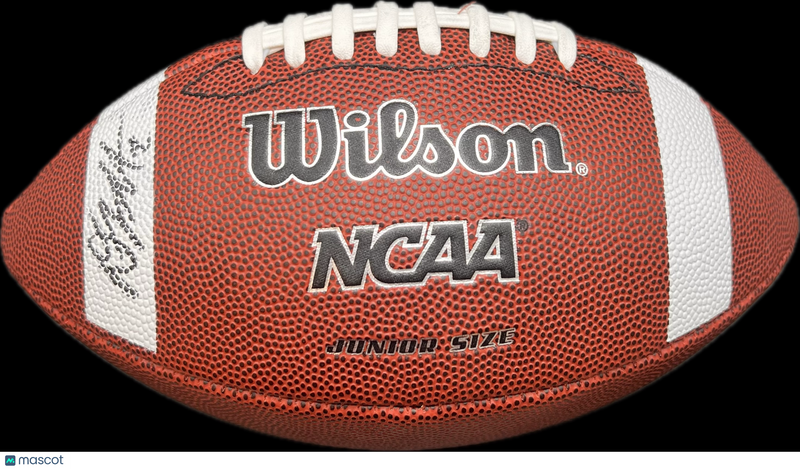 D.J. Moore Signed Football PSA Autographed