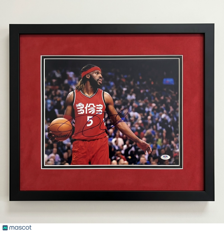 DeMarre Carroll Toronto Raptors Signed Basketball 11x14 Custom Framed Photo PSA