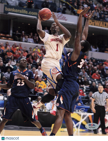 Noah Vonleh Signed photo PSA Indiana Hoosiers
