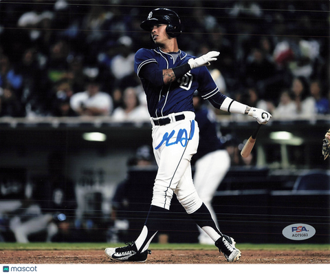 Gabriel Arias San Diego Padres Signed 8x10 Photo PSA