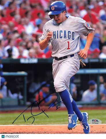 Tony Campana Chicago Cubs Signed 8x10 Photo PSA