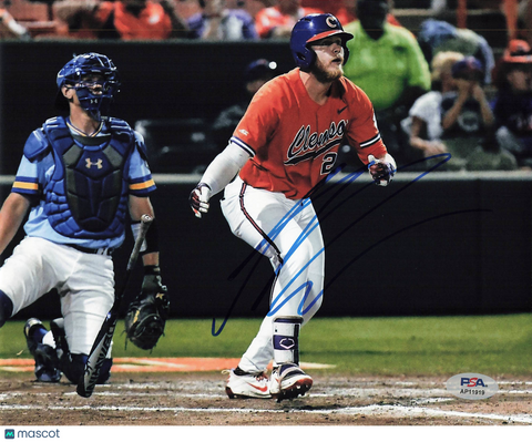 Seth Beer Clemson Tigers Signed 8x10 Photo PSA