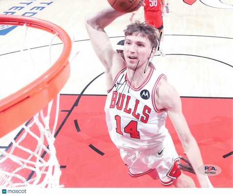 Matas Buzelis Chicago Bulls Signed Basketball 8x10 Photo PSA