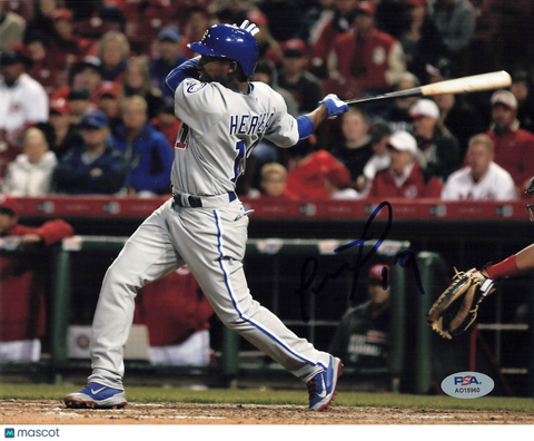 ROSELL HERRERA signed 8x10 photo PSA/DNA Chicago Cubs Autographed