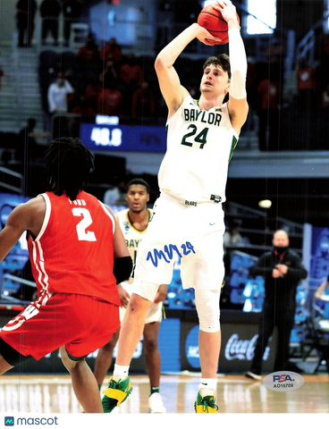 MICHAEL MAYER signed 8x10 photo PSA/DNA Baylor Autographed