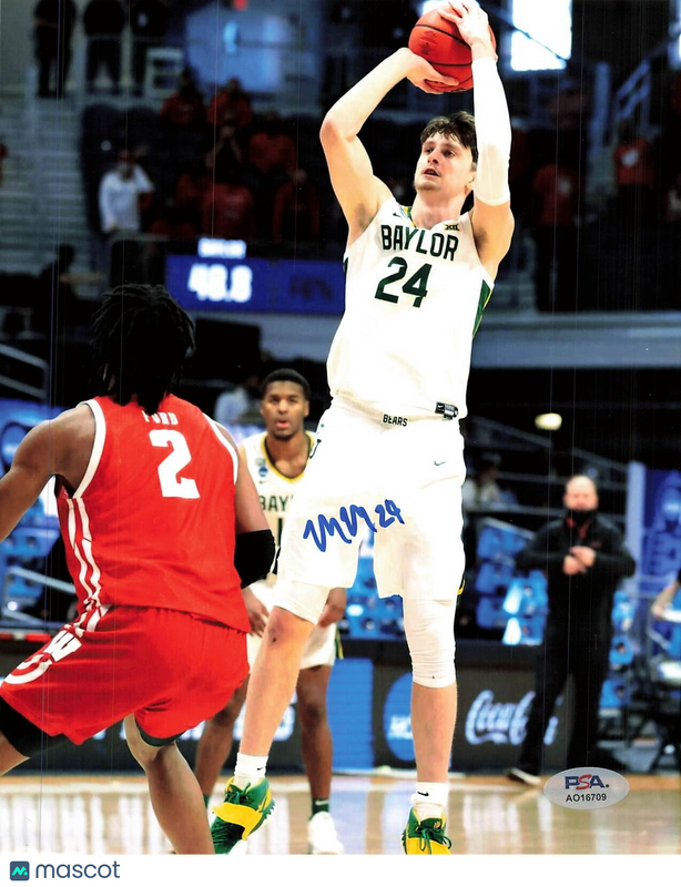 MICHAEL MAYER signed 8x10 photo PSA/DNA Baylor Autographed