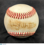 Adam Brett Walker signed baseball PSA/DNA Minnesota Twins autographed
