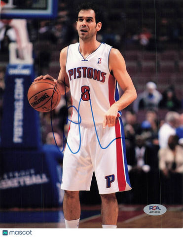 Jose Calderon signed 8x10 photo PSA/DNA Detroit Pistons Autographed