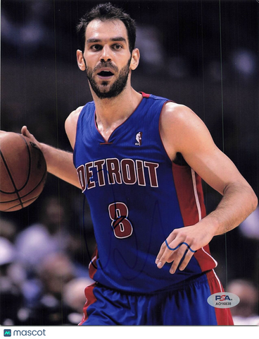Jose Calderon signed 8x10 photo PSA/DNA Detroit Pistons Autographed