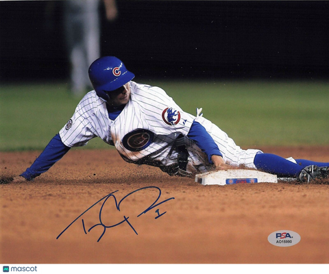 TONY CAMPANA signed 8x10 photo PSA/DNA Chicago Cubs Autographed