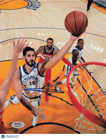 Omri Casspi signed 8x10 photo PSA/DNA Warriors Autographed
