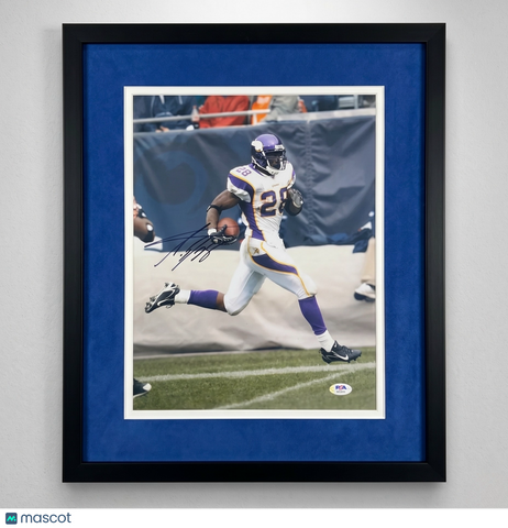 Adrian Peterson Signed Minnesota Vikings Football 11x14 Custom Framed Photo PSA