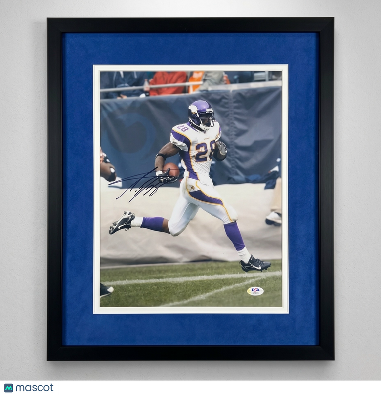 Adrian Peterson Signed Minnesota Vikings Football 11x14 Custom Framed Photo PSA