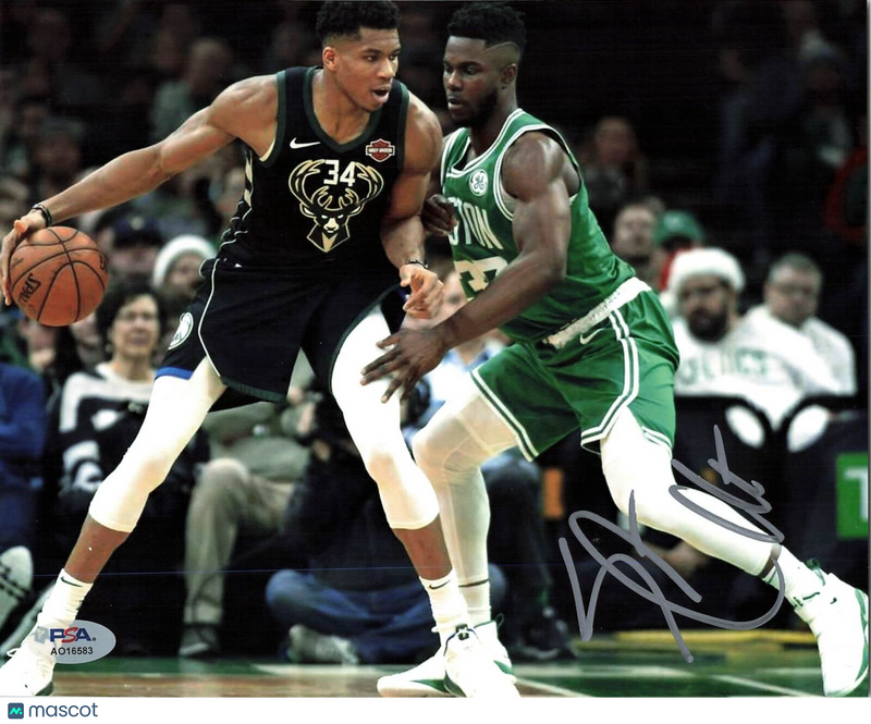 Semi Ojeleye signed 8X10 photo PSA/DNA Boston Celtics Autographed