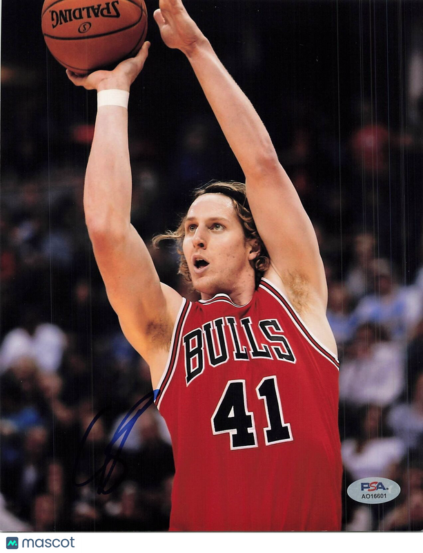 Cameron Bairstow signed 8x10 photo PSA/DNA Autographed Bulls