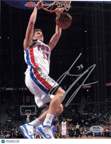 Jonas Jerebko signed 8x10 photo PSA/DNA Detroit Pistons Autographed
