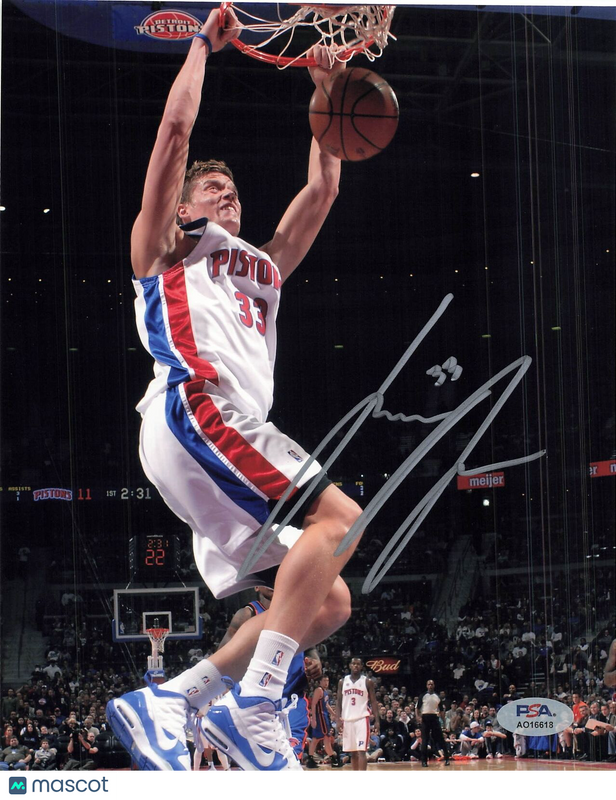Jonas Jerebko signed 8x10 photo PSA/DNA Detroit Pistons Autographed