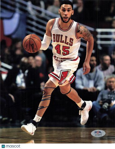 Denzel Valentine signed 8x10 photo PSA/DNA Chicago Bulls Autographed