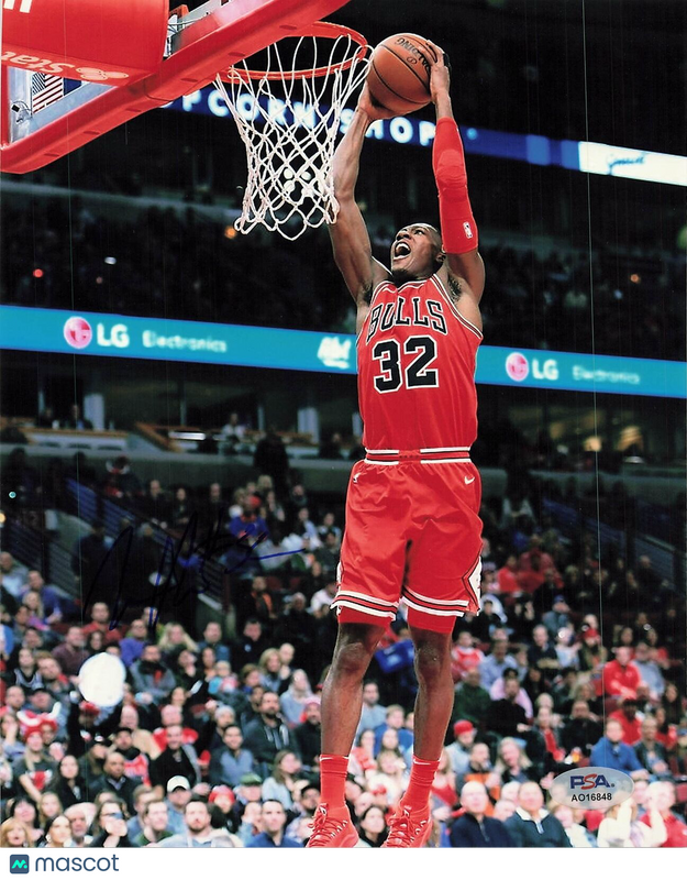 KRIS DUNN signed 8x10 photo PSA/DNA Chicago Bulls Autographed