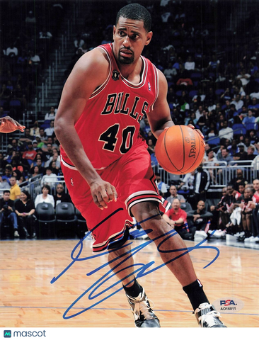 Kurt Thomas Signed 8x10 Photo PSA Bulls Autographed