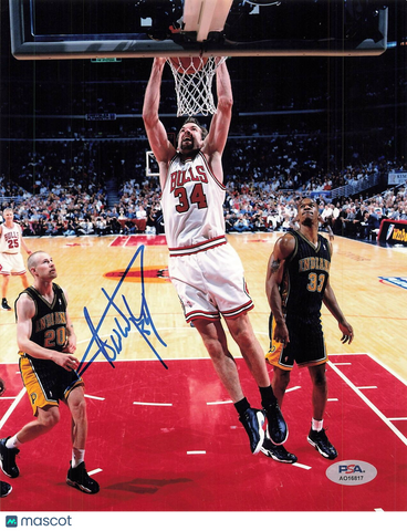 Denzel Valentine signed 8x10 photo PSA/DNA Chicago Bulls Autographed