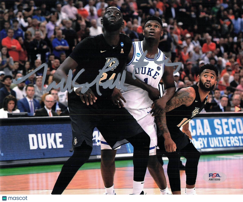 Tacko Fall signed 8x10 photo PSA/DNA UCF Knights Autographed