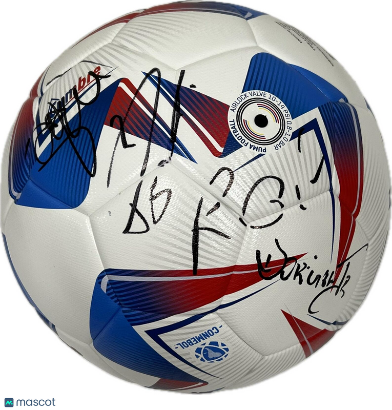 Brazil signed 2024 Copa America Soccer Ball PSA/DNA Team Brazil