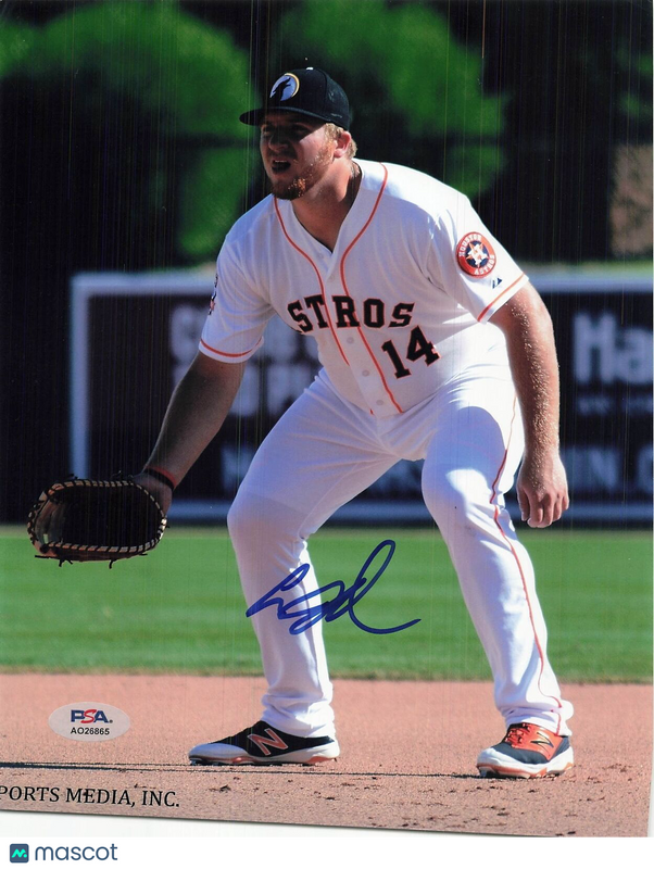 A.J. Reed signed 8x10 photo PSA/DNA Houston Astros Autographed