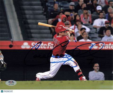 Collin Cowgill Los Angeles Angels Signed 8x10 Photo PSA