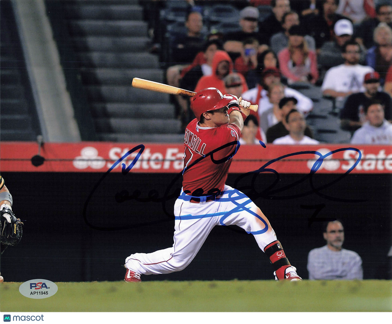 Collin Cowgill Los Angeles Angels Signed 8x10 Photo PSA