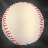 Michael Wacha signed baseball PSA/DNA Kansas City Royals autographed