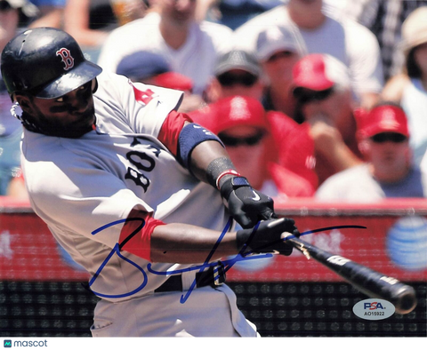 Bill Hall signed 8x10 photo PSA/DNA Boston Red Sox Autographed