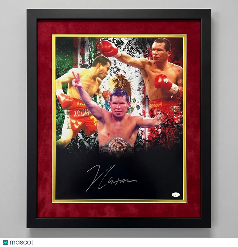 Julio Cesar Chavez Signed WBC Boxing Custom Framed 16x20 Photo JSA Auth