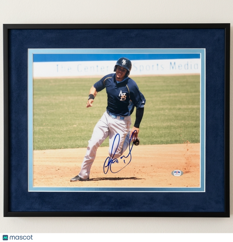 Jorge Alfaro Myrtle Beach Pelicans Signed 11x14 Custom Framed Photo PSA