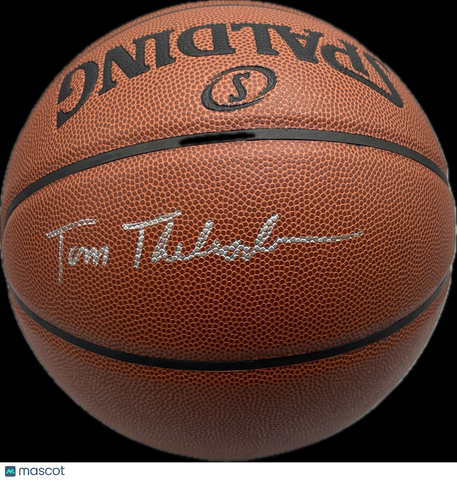 Tom Thibodeau New York Knicks Signed Basketball NBA PSA