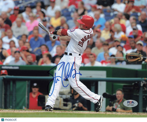 Steven Lombardozzi Jr. Washington Nationals Signed 8x10 Photo PSA