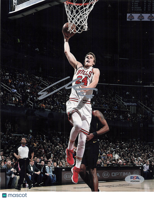 Lauri Markkanen Chicago Bulls Signed Basketball 8x10 Photo PSA